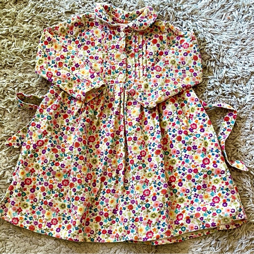 2006 Gymboree Outlet Floral Corduroy Dress, Size 4
